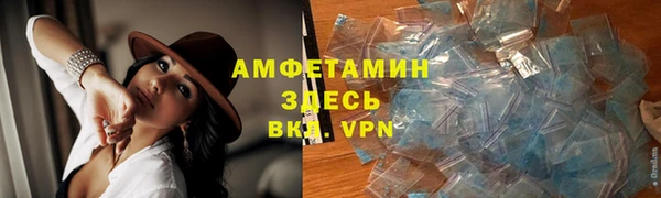 прущие грибы Верхний Тагил